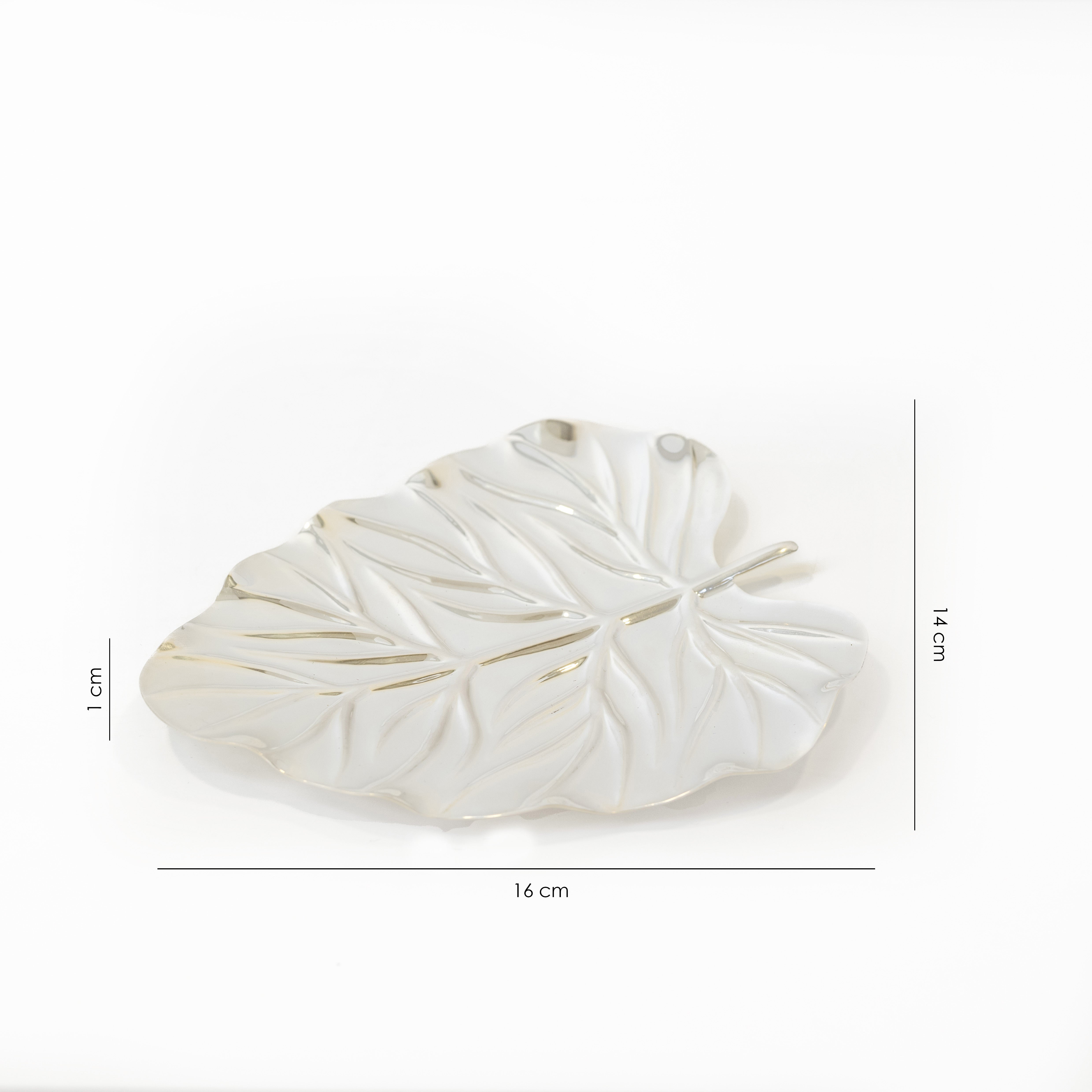 Foliage Tapas Plate (Set of 6)