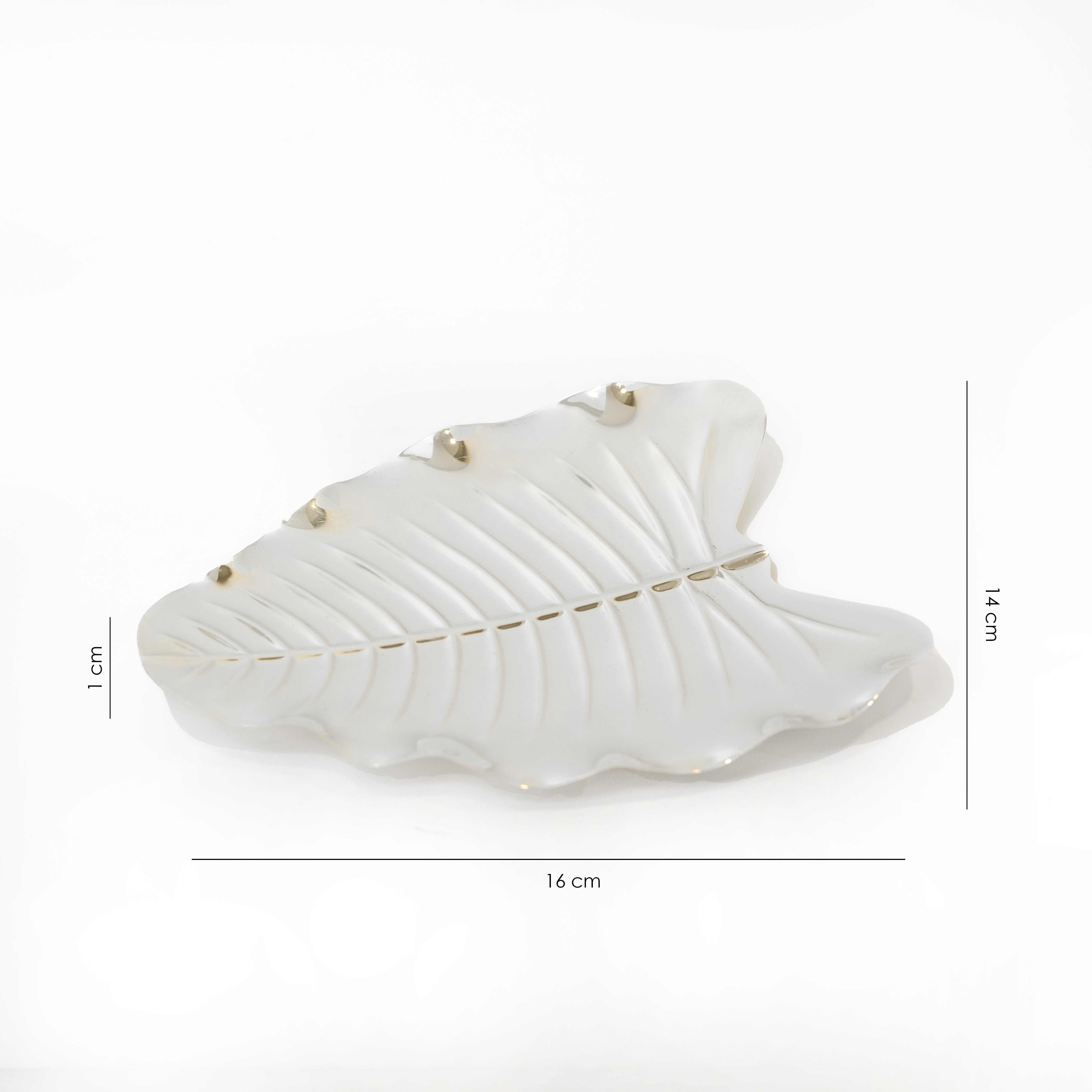 Foliage Tapas Plate (Set of 6)